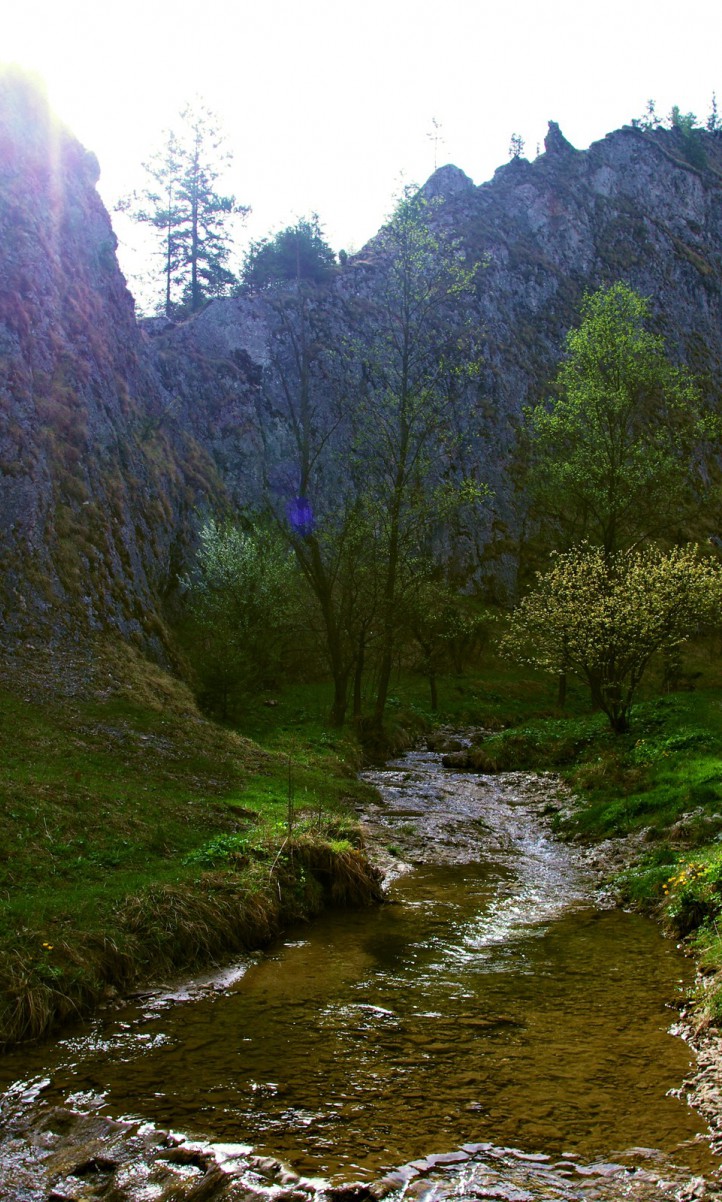 Ścieżka w góry