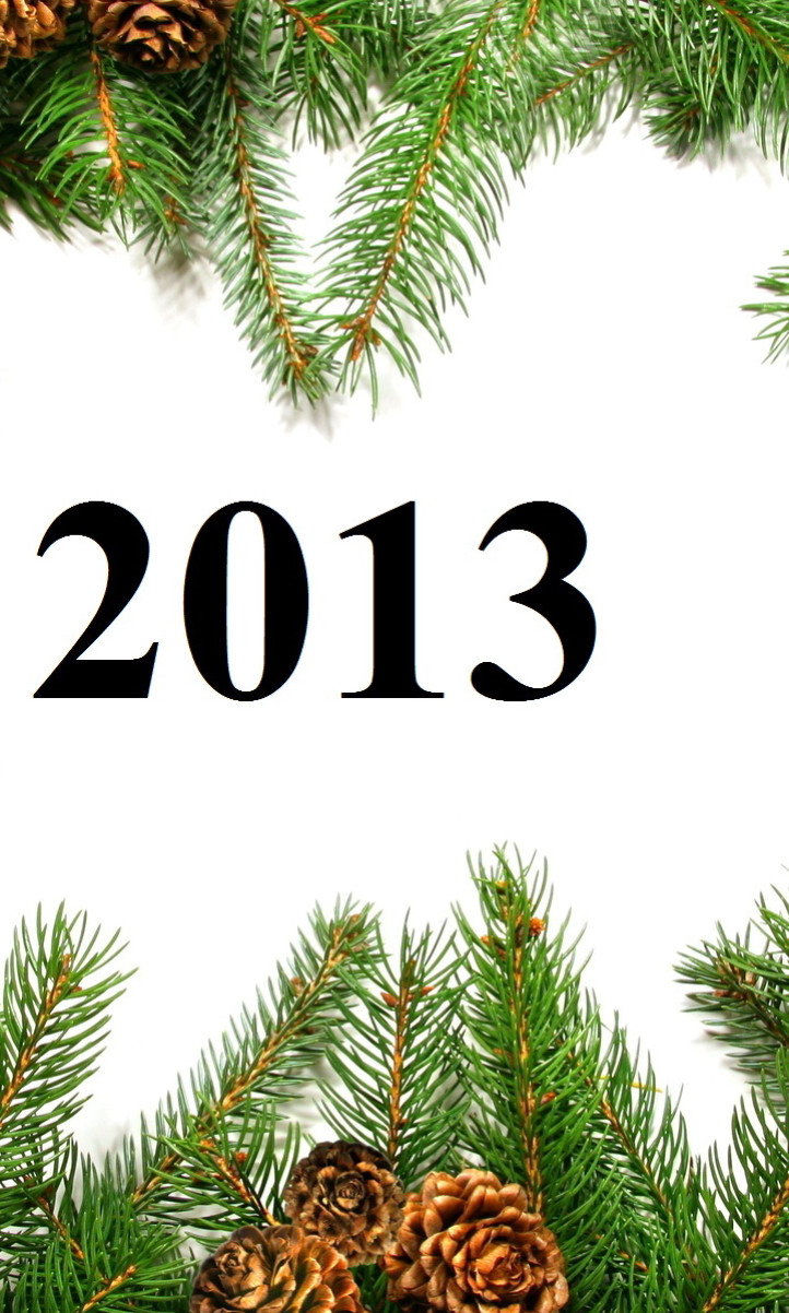 Nowy Rok 2013 (7).jpg