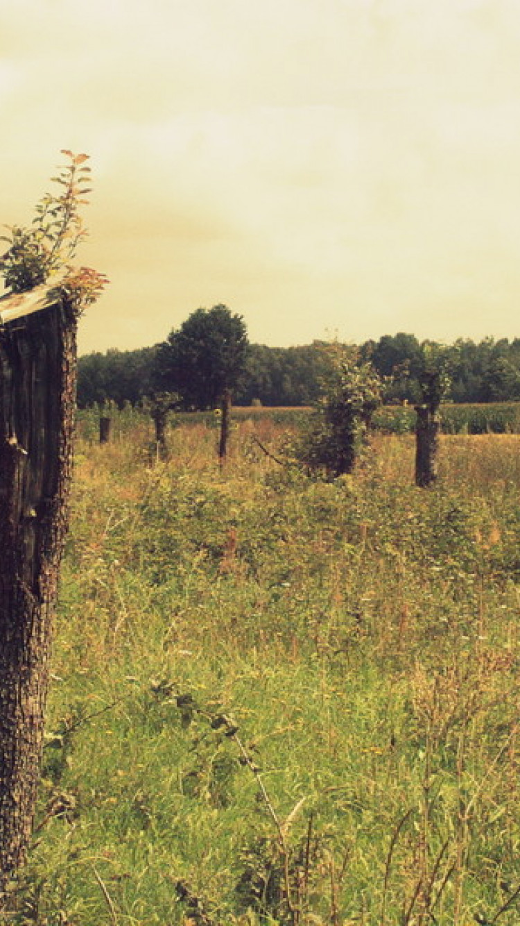 Wieś Kacperków (niedaleko Białobrzeg radomskich)