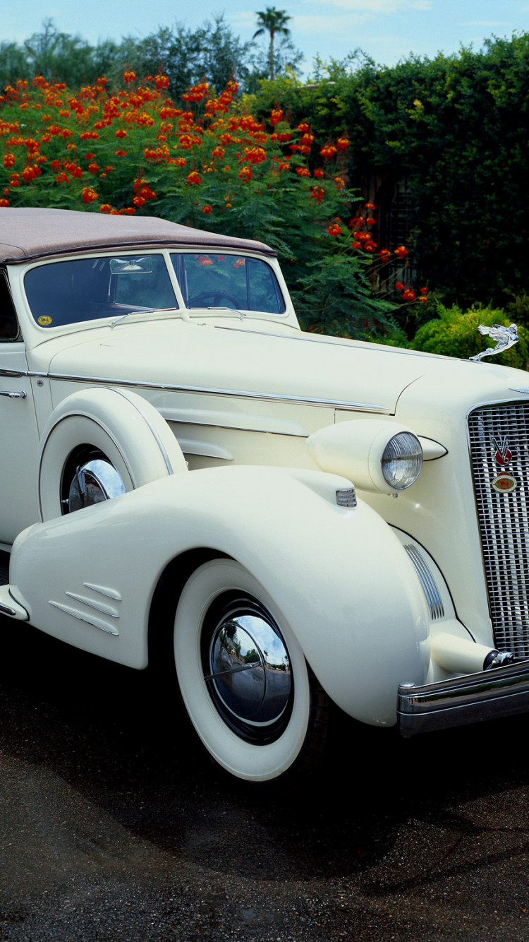 Cadillac V16 Series 90 Town Cabriolet '1936.jpg