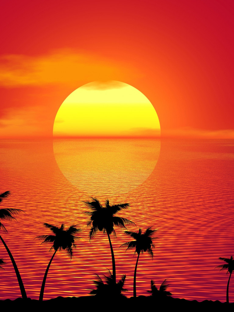 Zachód słońca, ocean, tropiki, palmy