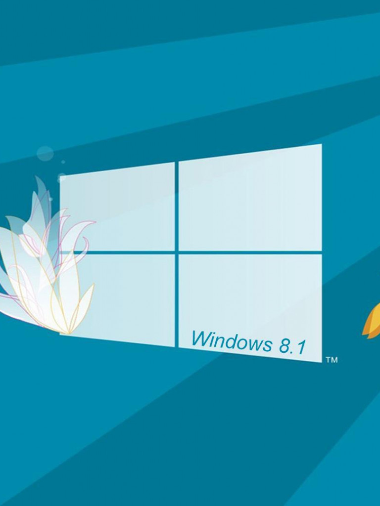 windows 8.1