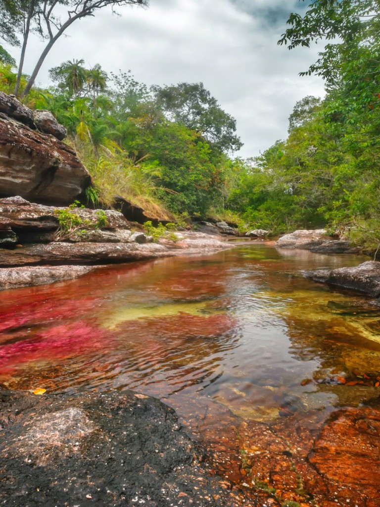 Caño Cristales