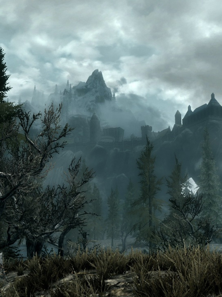 tes5-SKYRIM (56).jpg