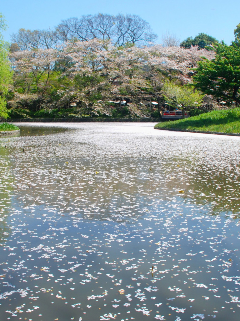 Japonia (110).jpg