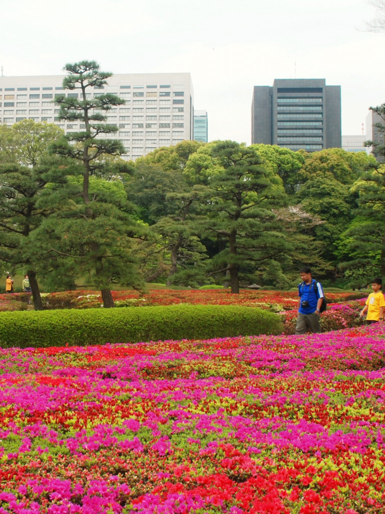 Japonia (174).jpg