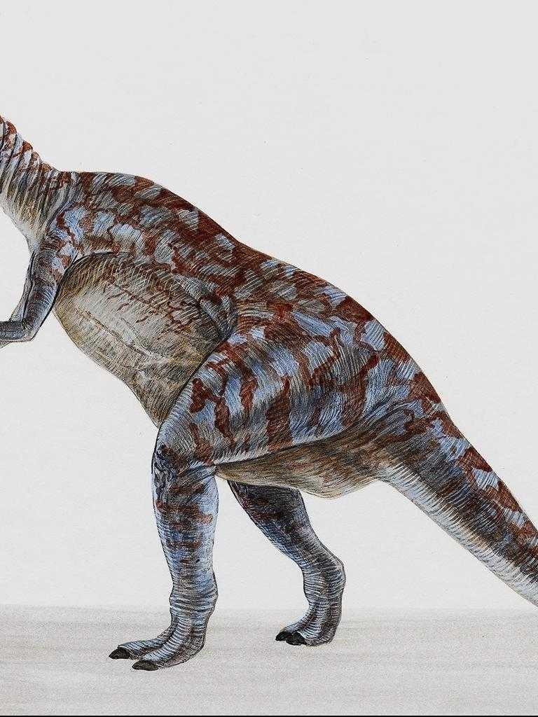 dinozaury (39).jpg