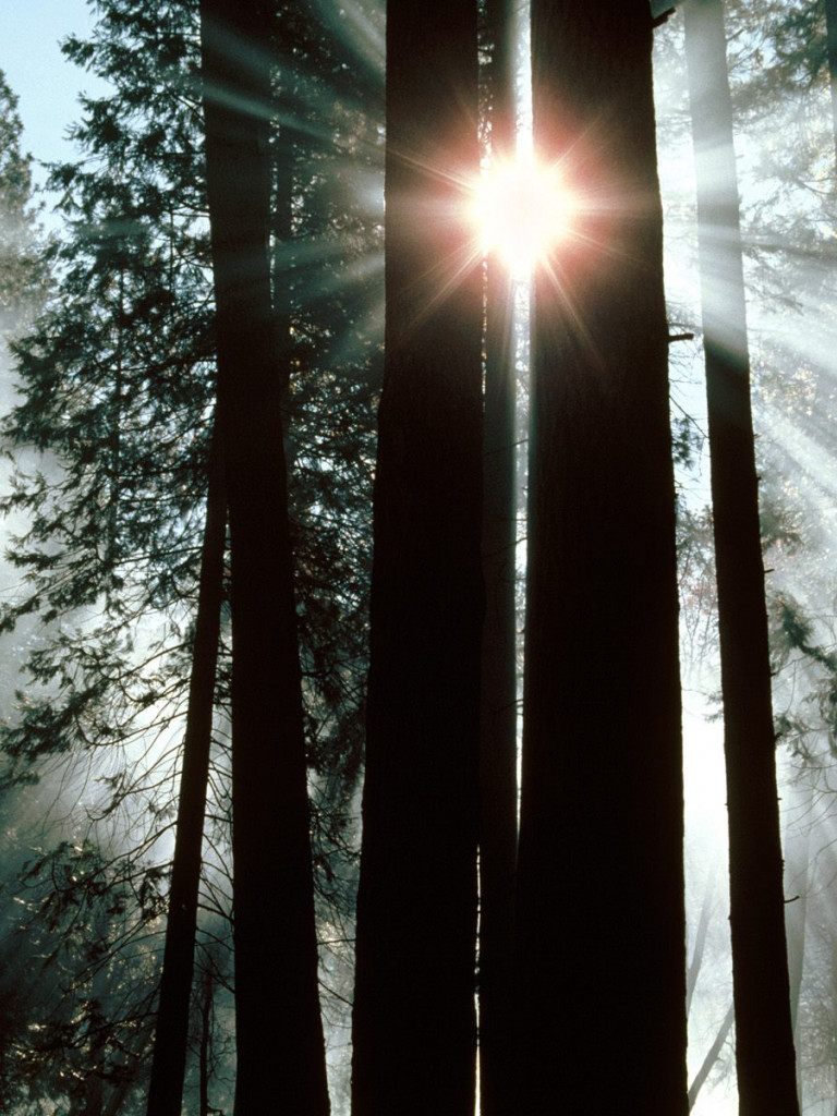 The Rays of Yosemite Valley, Yosemite National Park, California.jpg