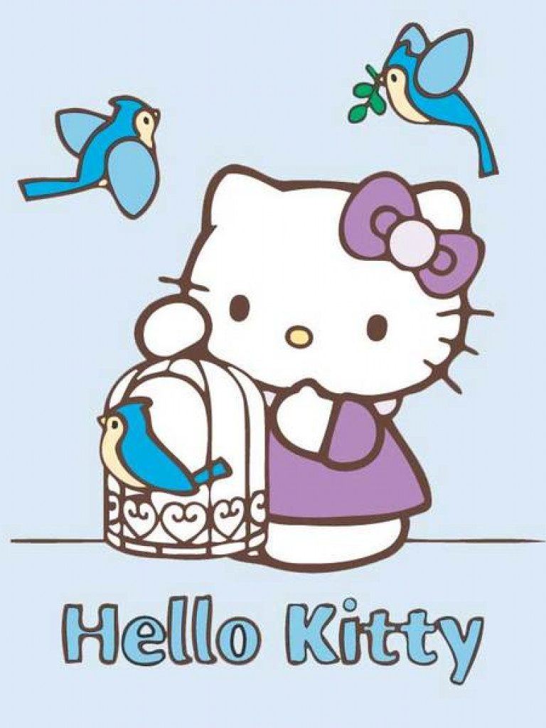 Hello Kitty (8).jpg