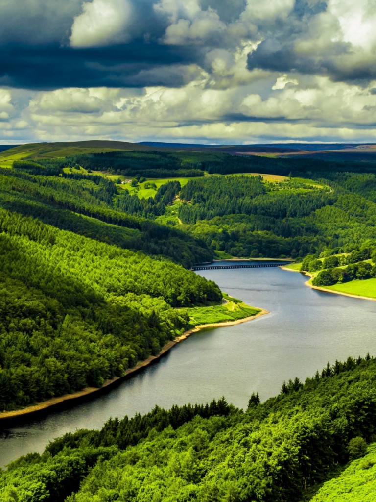 Lasy i łąki nad rzeką