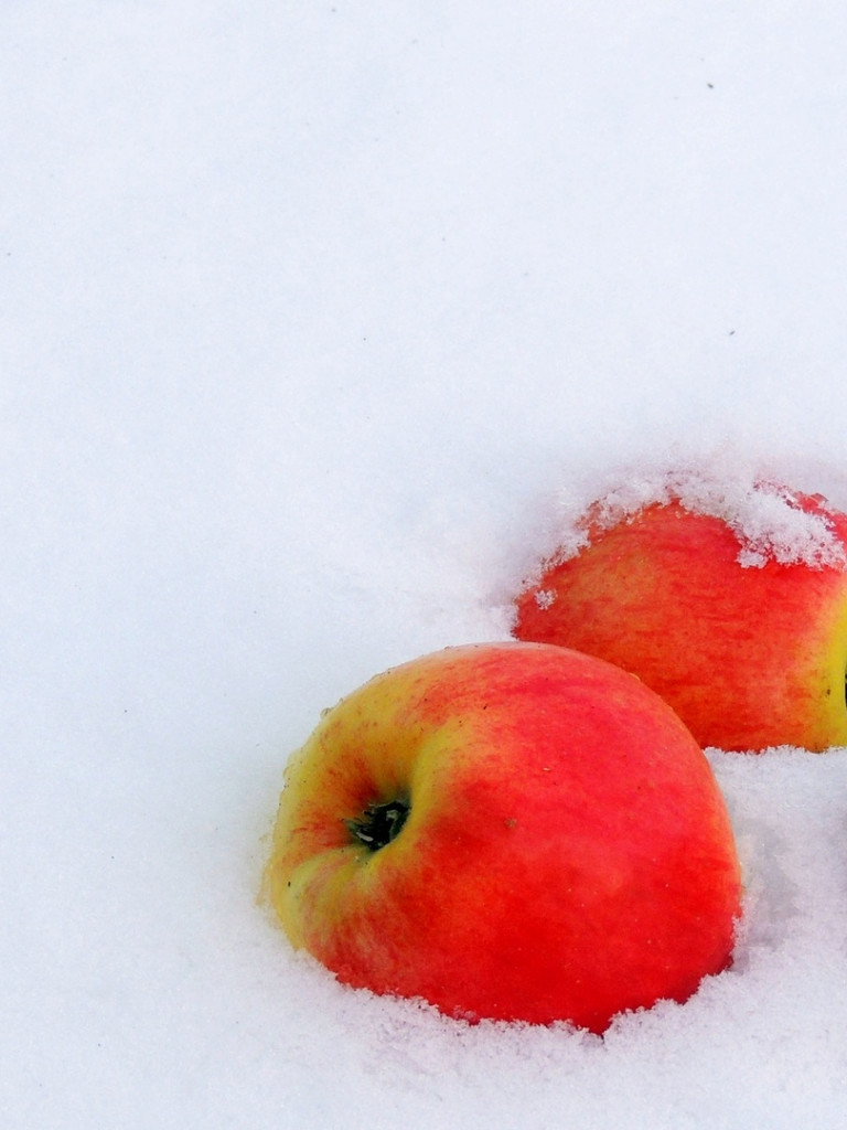 Jabłka w śniegu