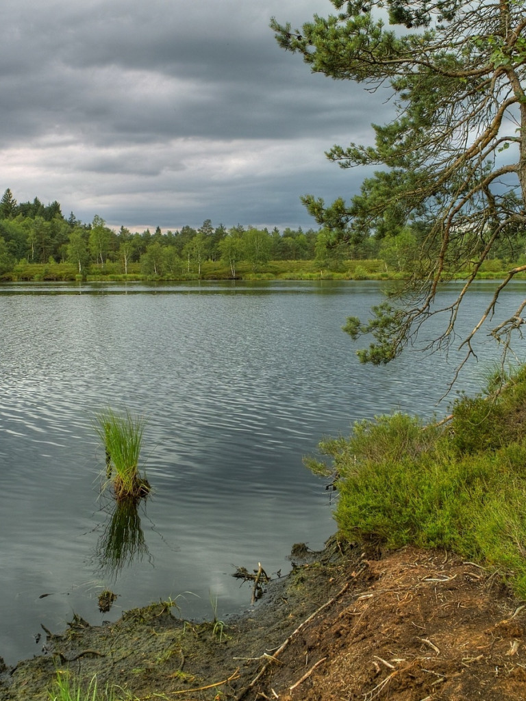 Piękny HD  Widok 9