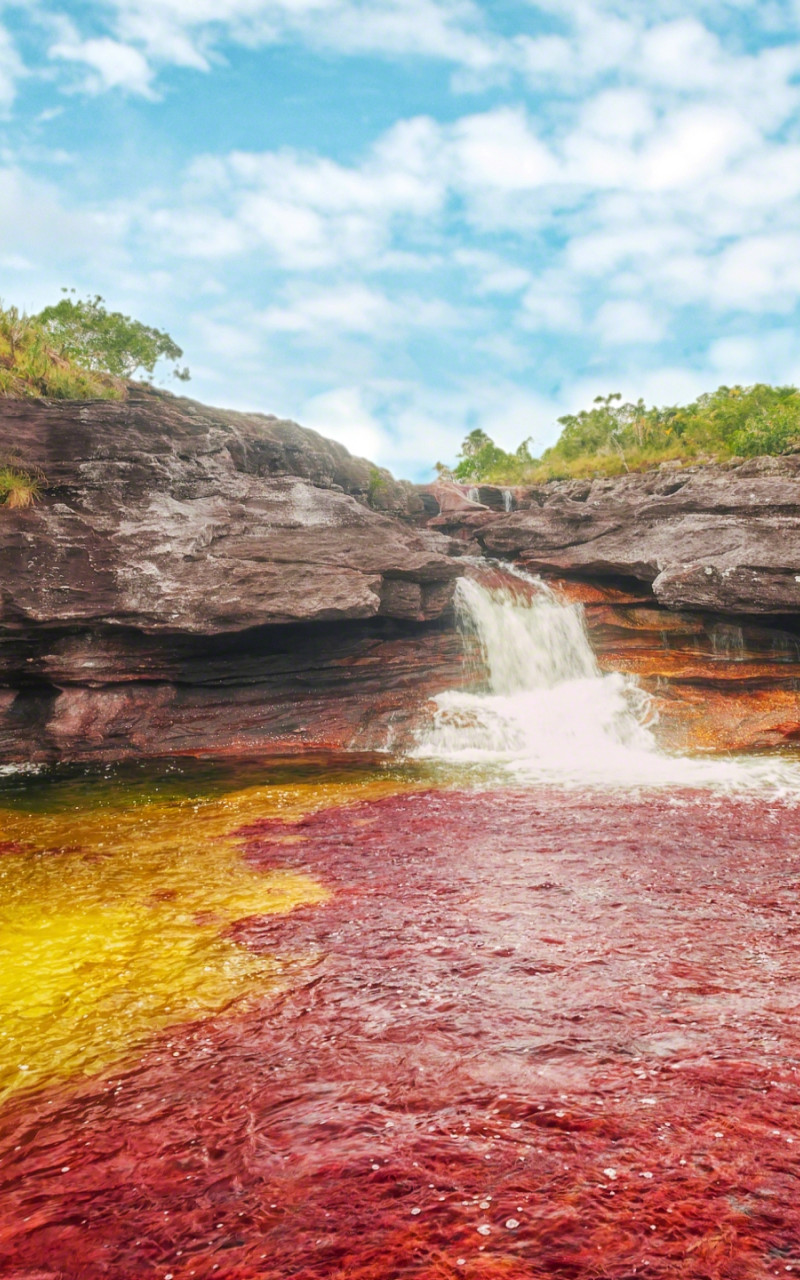 Caño Cristales