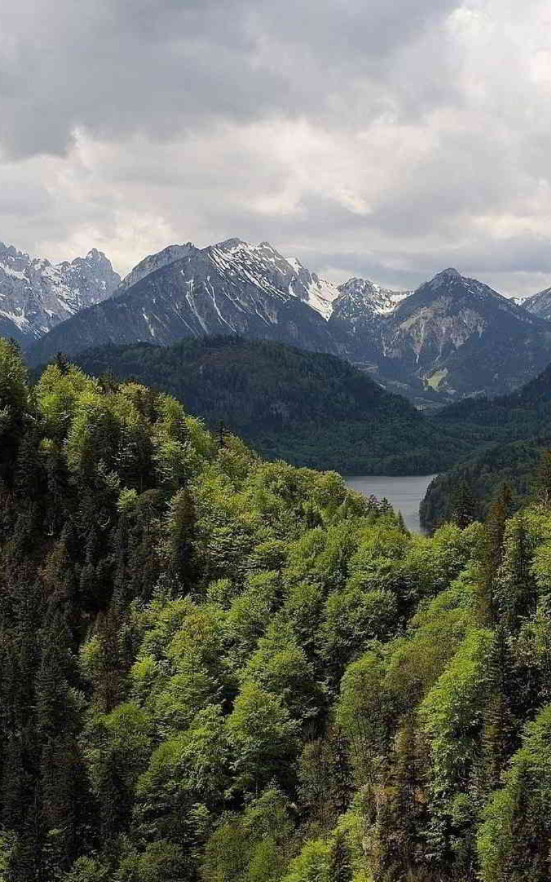 Stary zamek w górach