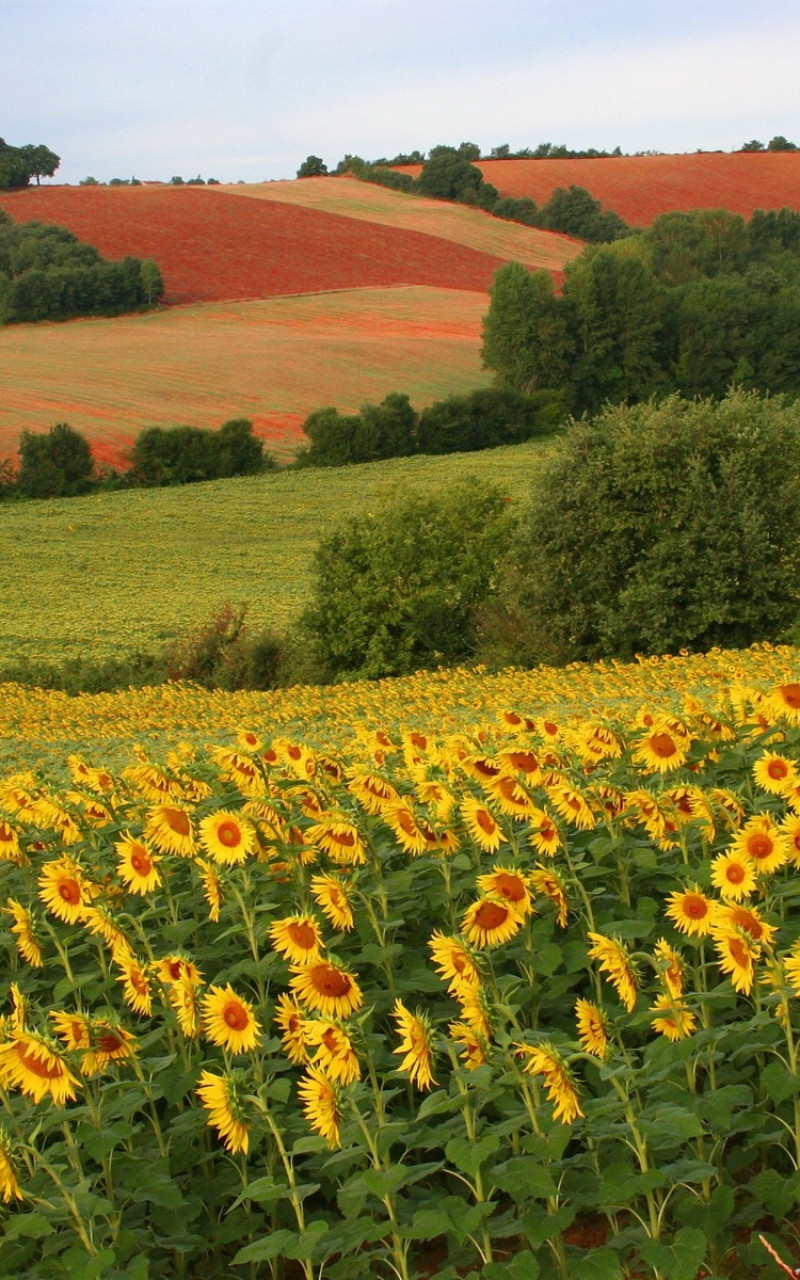 Piękne widoki HD (6).jpg