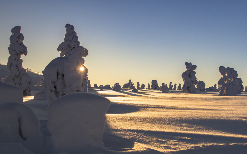 Laponia w zimę