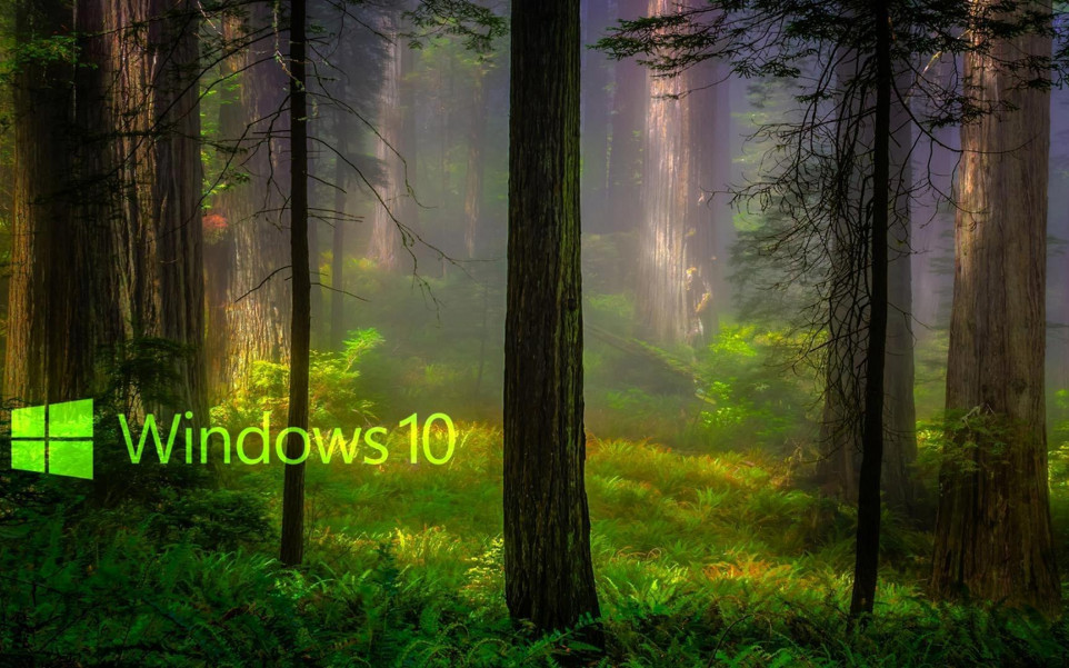 windows 10