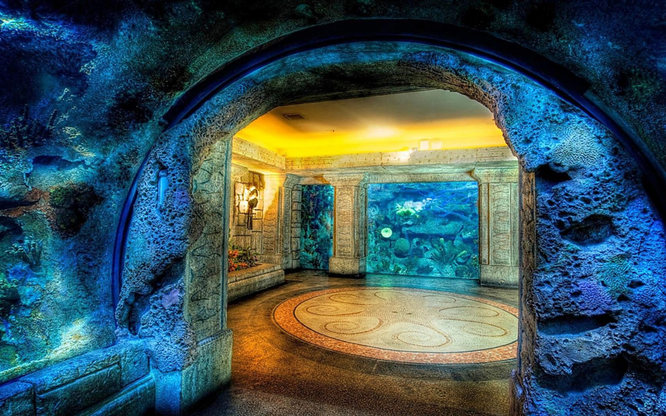 Shark-Reef-Aquarium