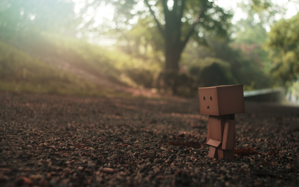 Danboard (5).jpg