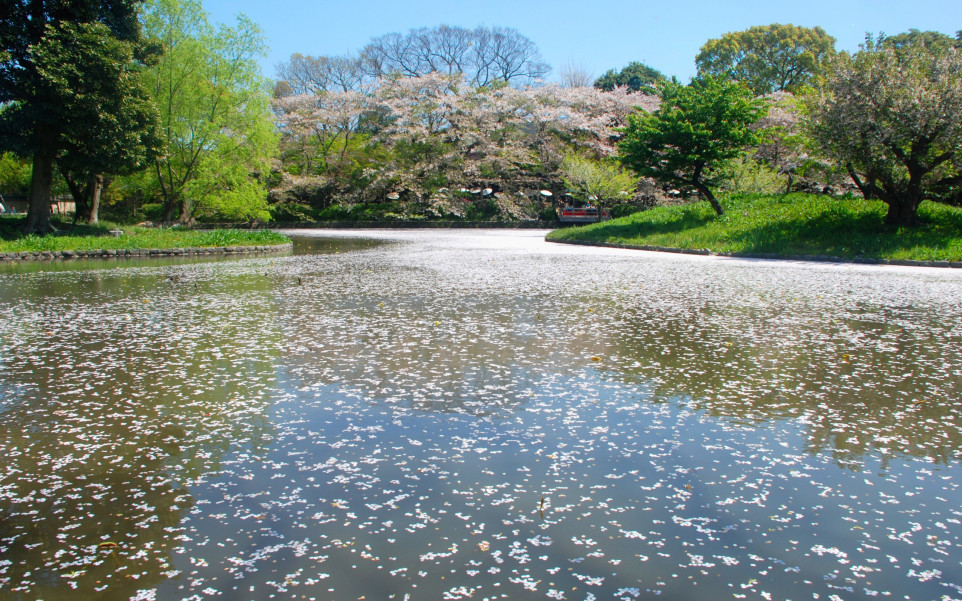 Japonia (110).jpg