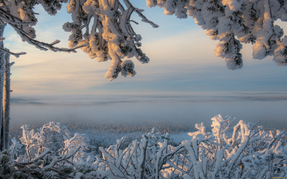 Śnieg na gałęziach