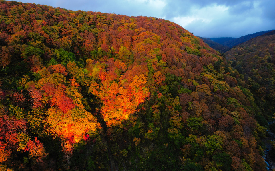 Japonia (200).jpg