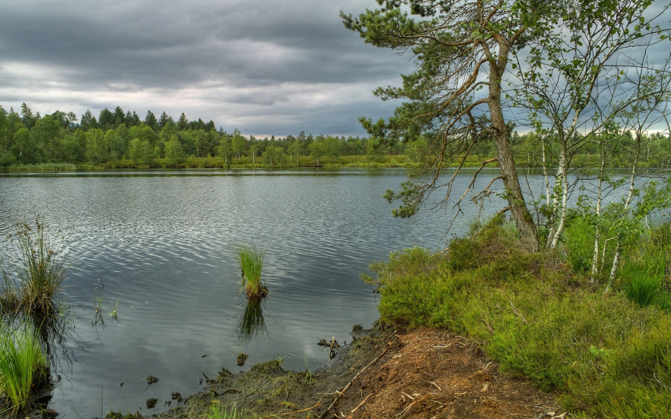 Piękny HD  Widok 9