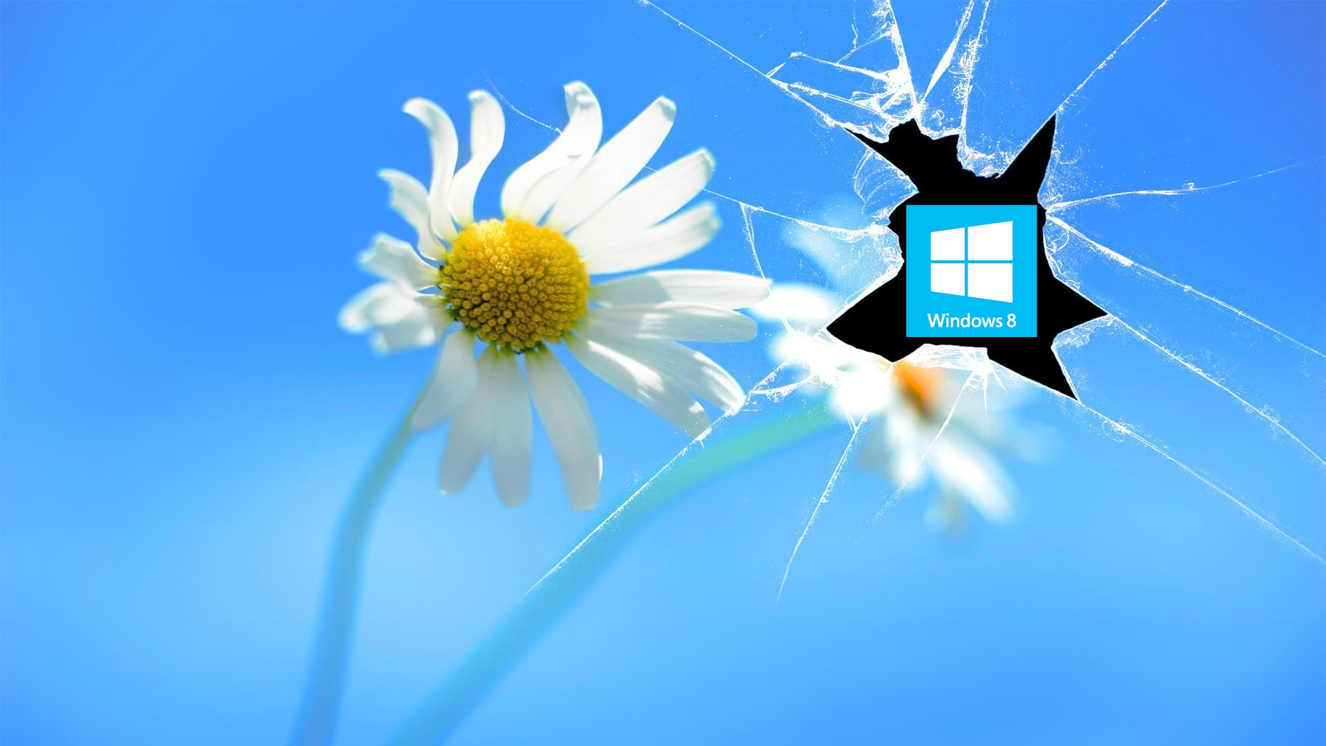 Windows 8