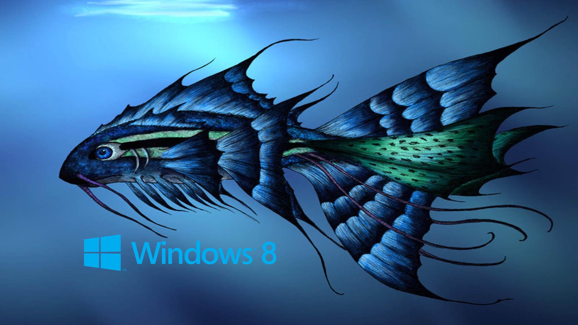 windows 8