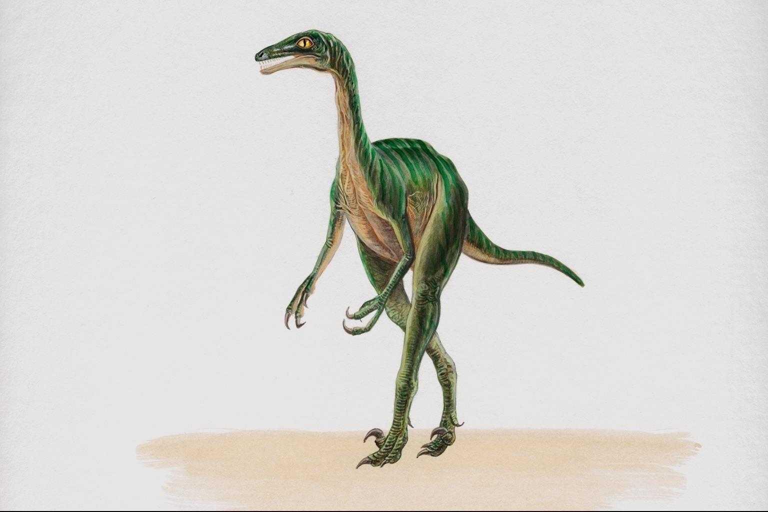 dinozaury (58).jpg