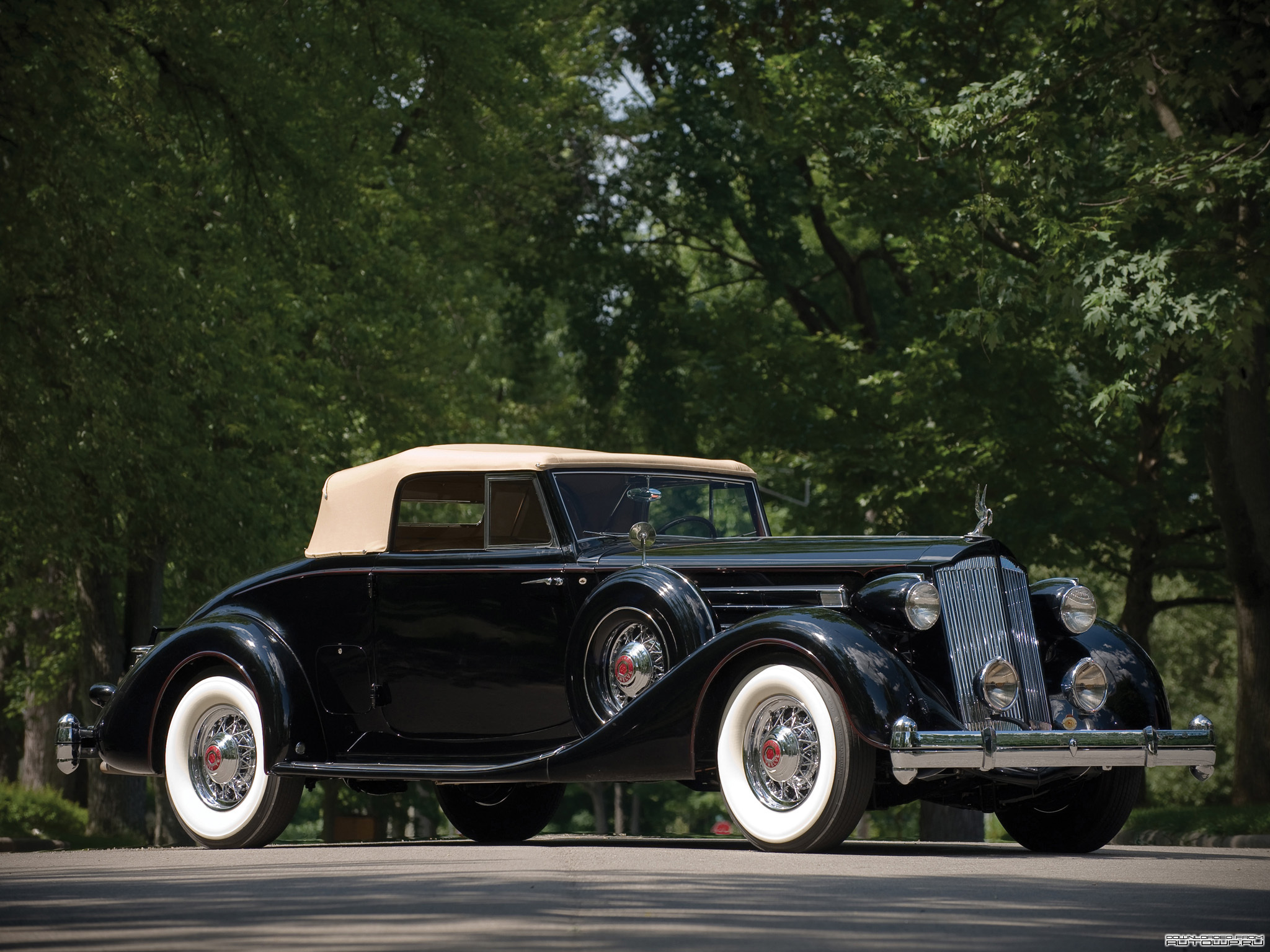 Packard Twelve Coupe Roadster '1936.jpg