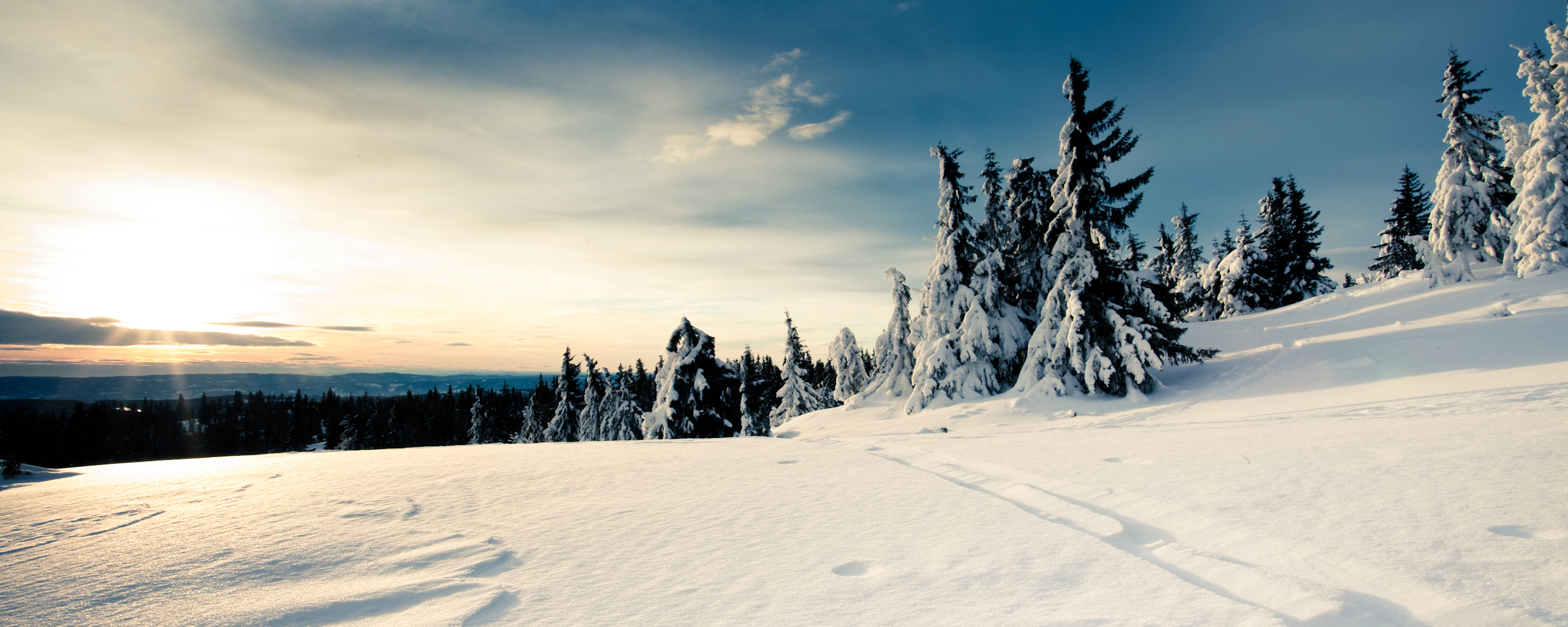 tapeta-panoramiczna (100).jpg