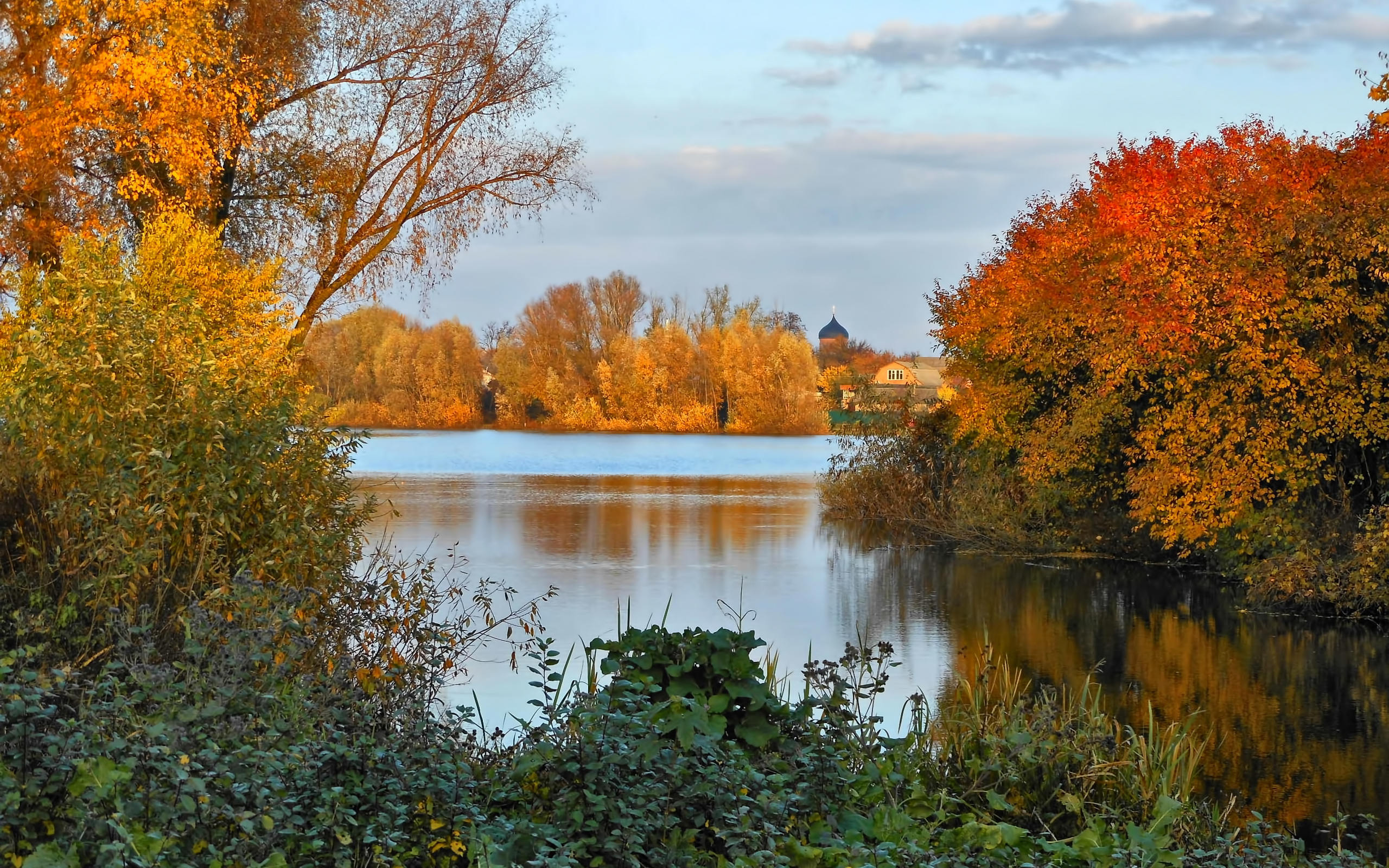 Drzewa nad rzeką