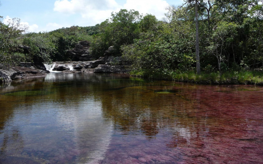 Tapeta Caño Cristales