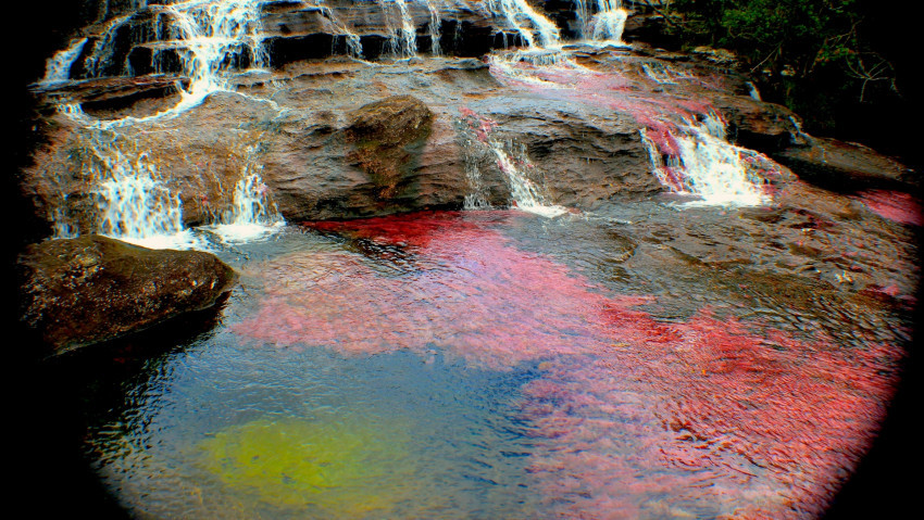 Tapeta Caño Cristales