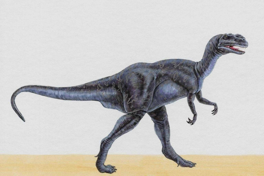 Tapeta dinozaury (3).jpg