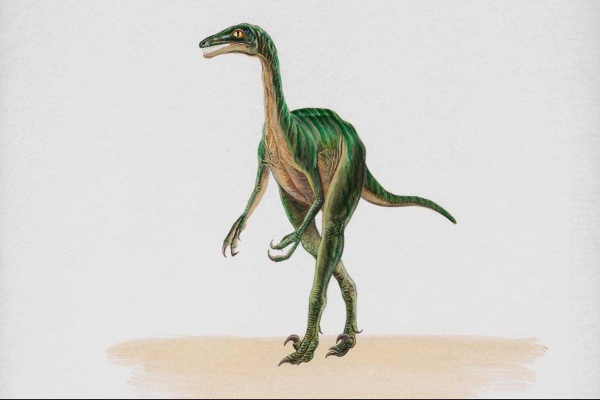 Tapeta dinozaury (58).jpg
