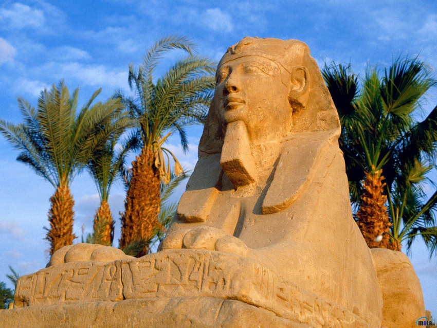 Tapeta Egipt (59).jpg