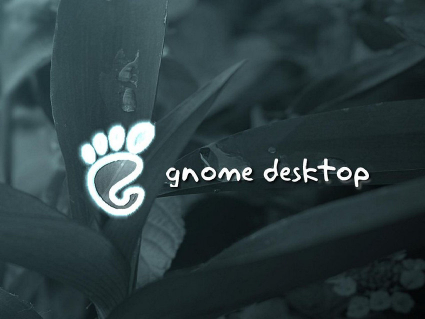 Tapeta Gnome