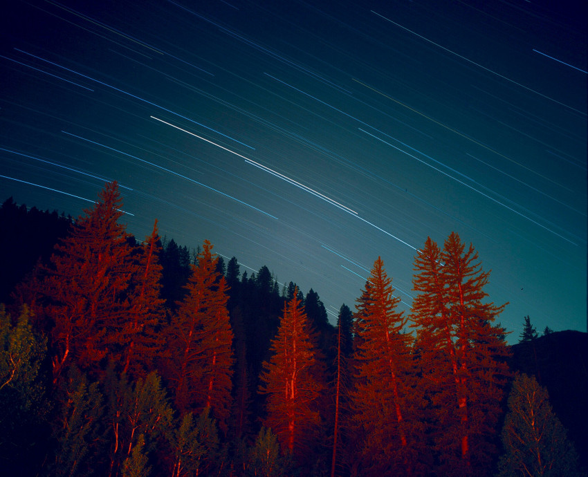 Tapeta Gwiazdy nad lasem z długim czasem naświetlania