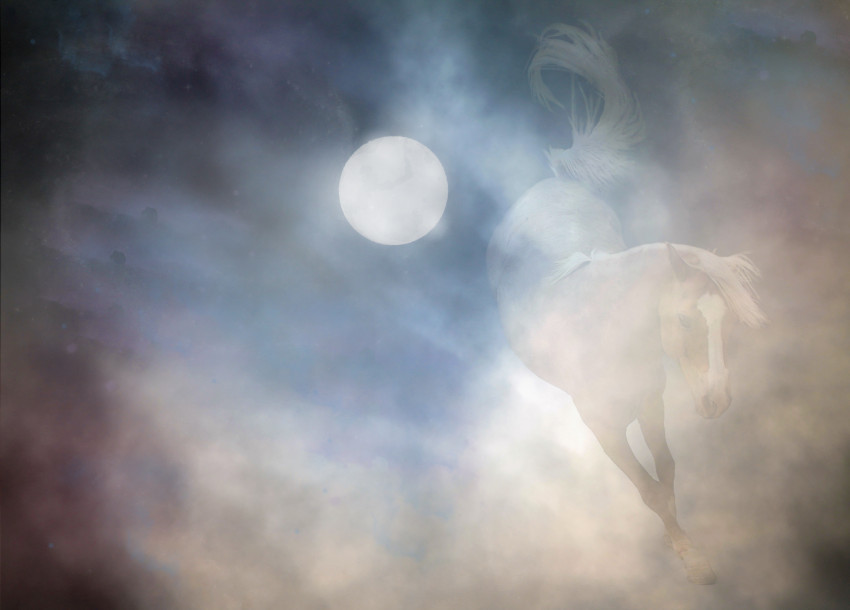 Tapeta Koń galopujący we mgle, przy pełni księżyca