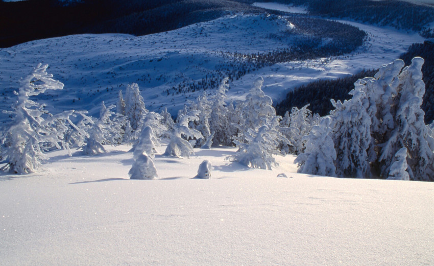 Tapeta Krajobraz zimowy w górach