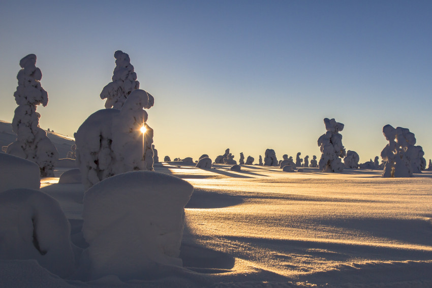Tapeta Laponia w zimę