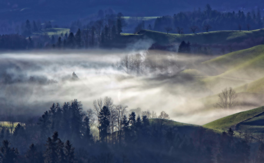 Tapeta Mgła nad doliną w lesie