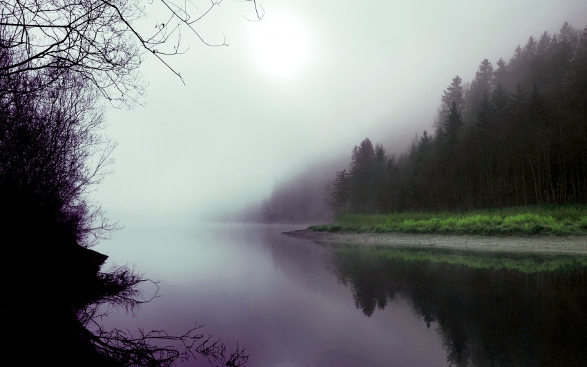 Tapeta Mgła nad rzeką i lasem