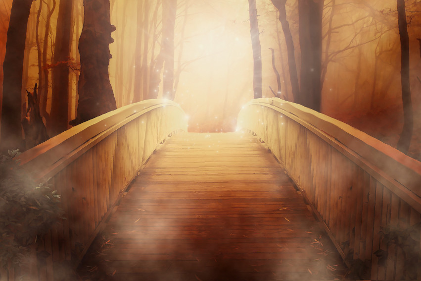 Tapeta Most w lesie i złote światło