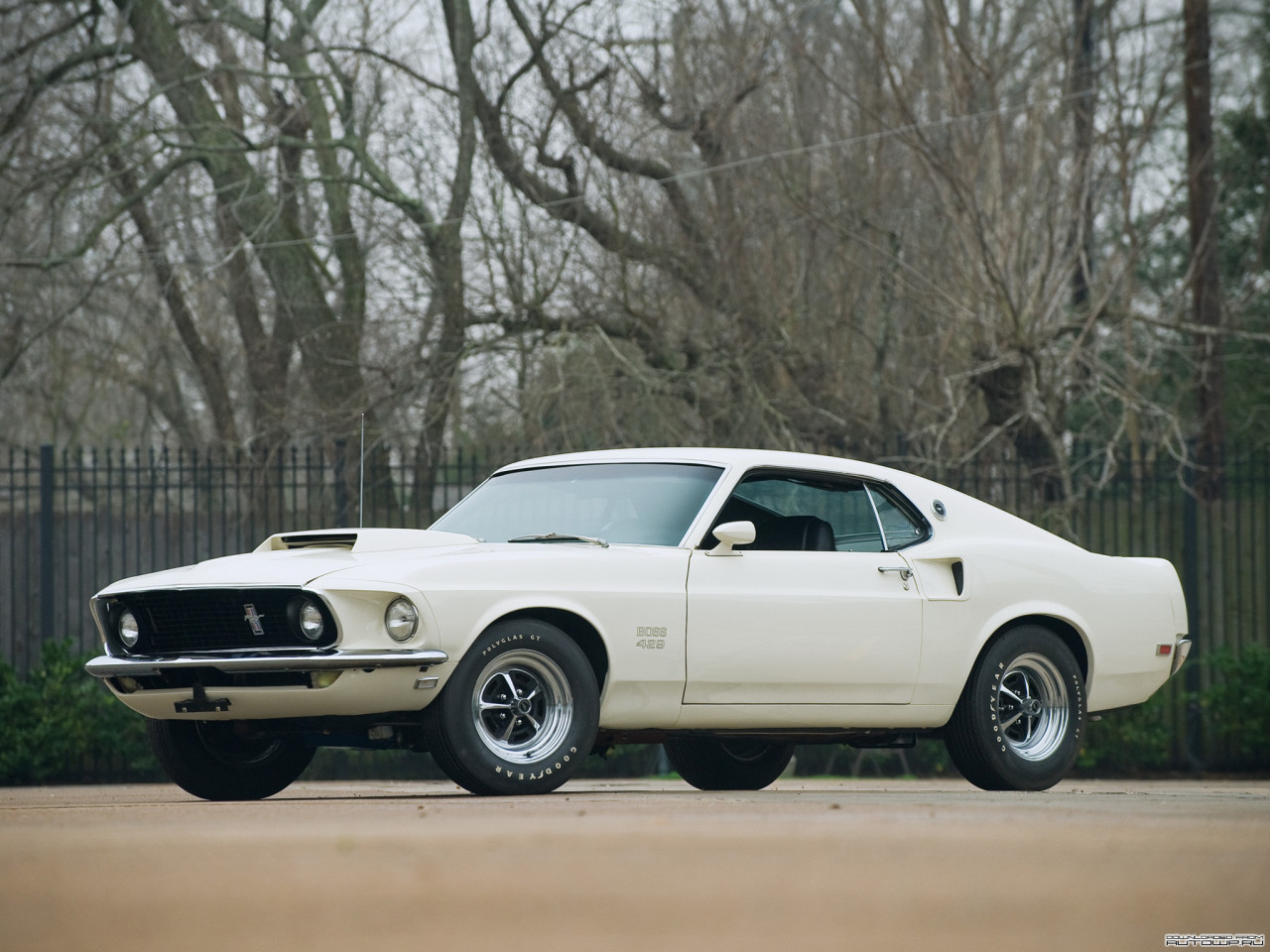 Tapeta Mustang Boss 429 '1969.jpg