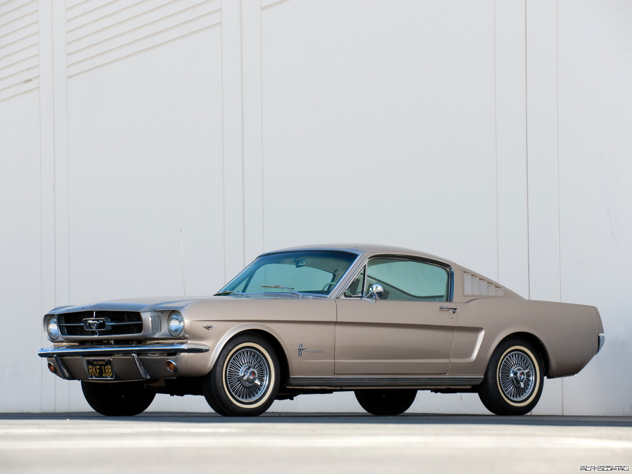 Tapeta Mustang Fastback '1965.jpg