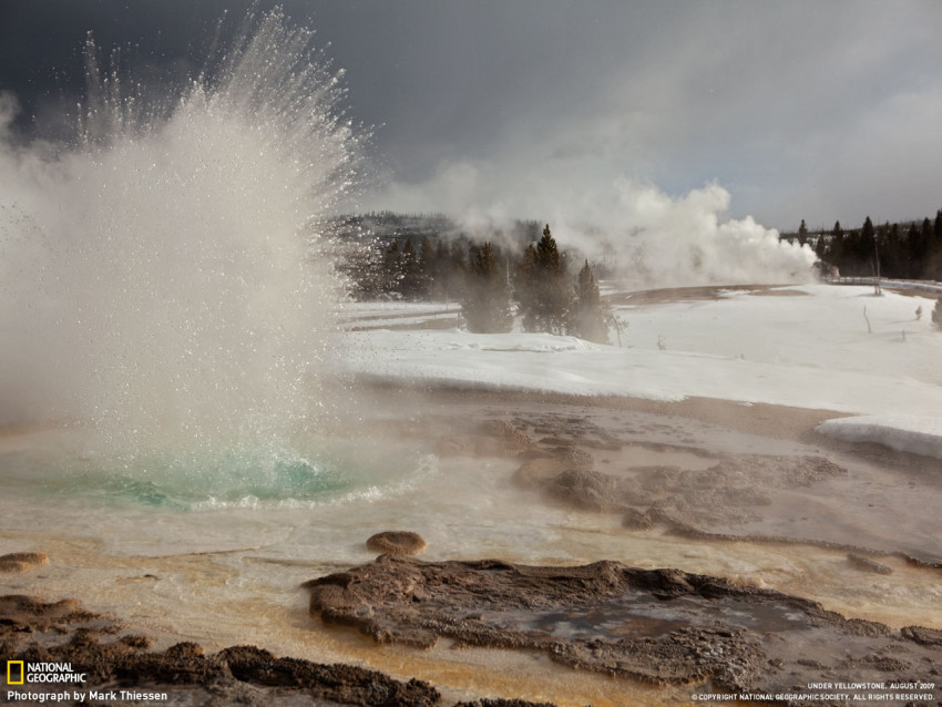 Tapeta national geographic (7).jpg