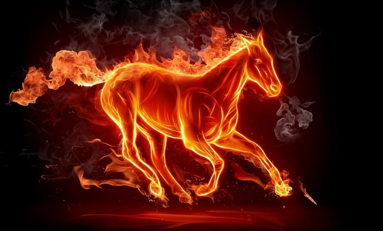 Tapeta ogień koń